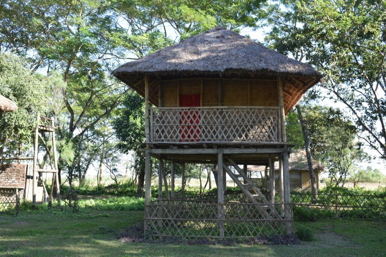 Dhansiri Eco Camp Bokākhāt Εξωτερικό φωτογραφία